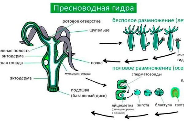 Кракен нарко шоп