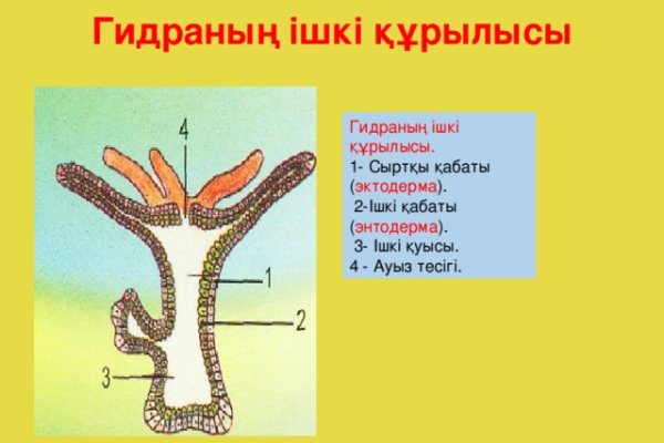 Darknet ссылка кракен kraken014 com